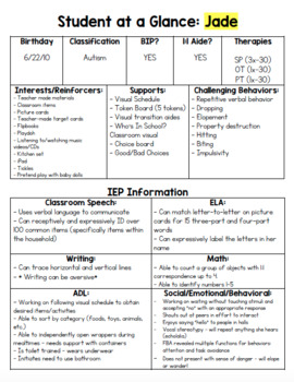 Preview of Student at a Glance Forms (EDITABLE)