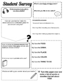 Student survey - Get to know you questions - Template/Worksheet 