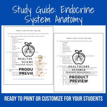 Preview of Study Guide: Endocrine System Anatomy (EDITABLE)