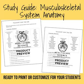 Preview of Study Guide: Musculoskeletal System Anatomy (EDITABLE)