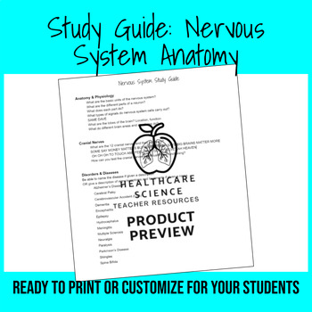 Preview of Study Guide: Nervous System Anatomy (EDITABLE)