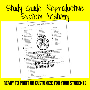 Preview of Study Guide: Reproductive System Anatomy (EDITABLE)