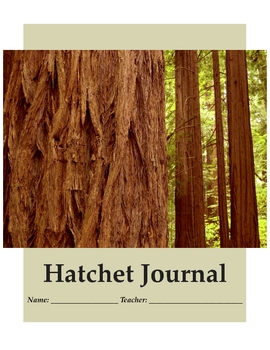 Preview of Study Guide for the Gary Paulsen Novel:  Hatchet