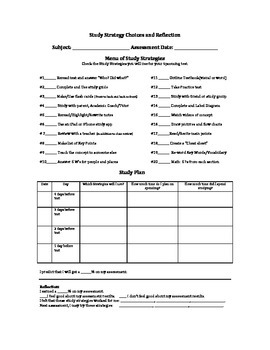 Preview of Study Strategy Choices and Reflection