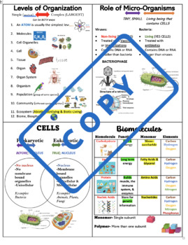 Preview of Study cards (Levels of Organization, Viruses, Cells, Biomolecules)