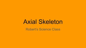 Preview of Study guide: Axial skeleton  with answers