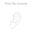 Study guide/ coloring pages Ear Anatomy