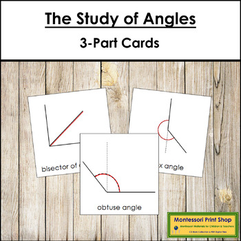 Preview of The Study of Angles 3-Part Cards - Montessori Elementary Geometry