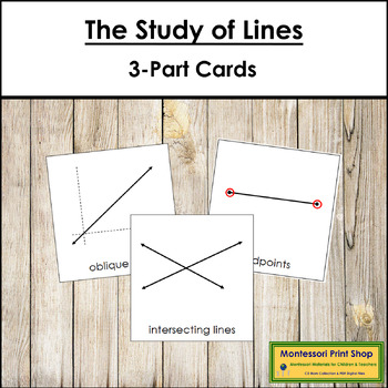Preview of The Study of Lines 3-Part Cards - Montessori Elementary Geometry