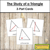 The Study of a Triangle 3-Part Cards - Montessori Elementa