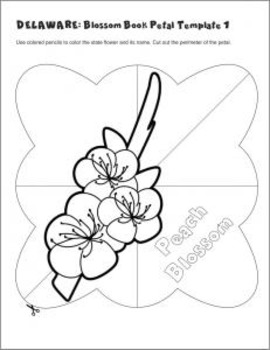 delaware state flower coloring pages