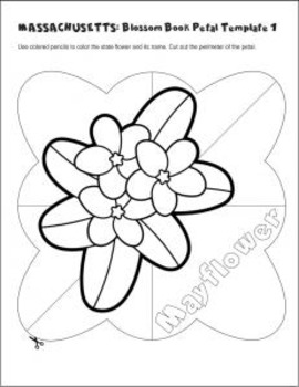 910+ Mayflower Flower Illustrations, Royalty-Free Vector Graphics & Clip  Art - iStock | Virginia beach, Massachusetts landscape, Ground laurel