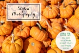 Styled Stock Photo: Fall BUNDLE - Pumpkins (Comm Use OK)