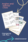 Sub Plan-Introduction to Parallel, Perpendicular lines, Sp