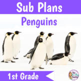 Emergency Sub Plans 1st Grade | Penguins