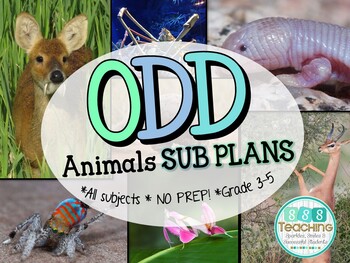 Preview of Sub Plans - No Prep Emergency Sub Plans: Odd Animals Grades 3-5