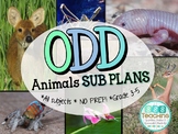 Sub Plans - No Prep Emergency Sub Plans: Odd Animals Grades 3-5