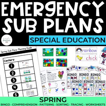 Preview of Sub Plans | Spring | Special Education