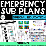 Sub Plans | Spring | Special Education