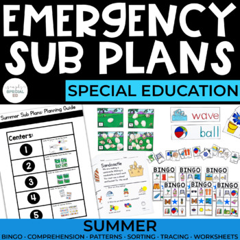 Preview of Sub Plans | Summer | ESY | Special Education