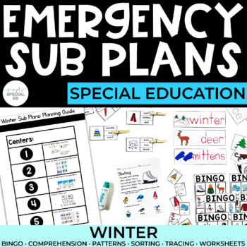 Preview of Sub Plans | Winter | Special Education