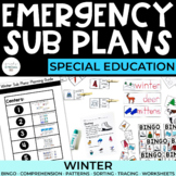 Sub Plans | Winter | Special Education