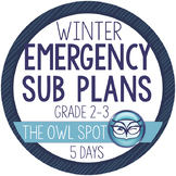 Sub Plans for a Week! - Primary Grades (2-3)