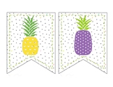Subject Area Pineapple Theme Banner
