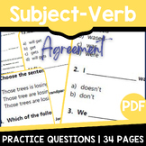 Subject Verb Agreement Worksheets Third and Fourth Grade G