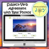 Subject-Verb Agreement with Real Photos