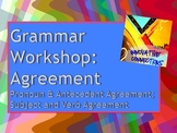Subject/Verb and Pronoun/Antecedent Agreement Grammar Workshop