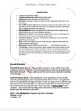 Substitue Lesson Plan Template