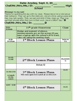 Preview of Substitute Lesson Plan Template-Editable