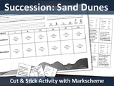 Succession: Sand Dunes cut and stick (A level resource)