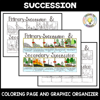 Preview of Succession Coloring Page and Graphic Organizer