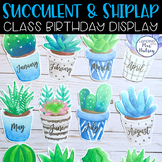 Succulent Class Birthday Display