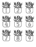 Succulent Plant Theme Classroom Numbers