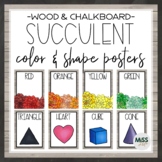 Succulent Shape and Color Posters