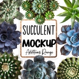 Succulent and Cacti Mock-up , stock images Mock up