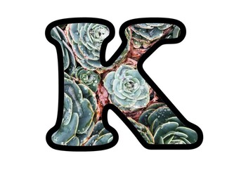 Preview of Succulents, Bulletin Board Letters Numbers & Symbols, Spring Plants Class Decor