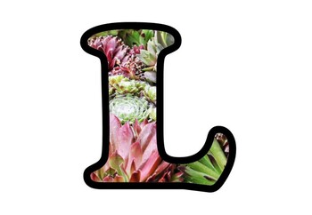 Preview of Succulents Bulletin Board Letters,  Numbers and Symbols, Plants Classroom Decor