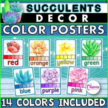 Succulents Classroom Decor: Color Posters | Bright and Calming | TPT