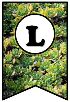 Preview of Succulents, Pennant Banner Bulletin Board Letters, Succulents Alphabet Theme