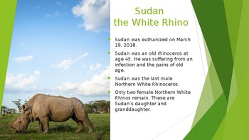 Preview of Sudan the White Rhino