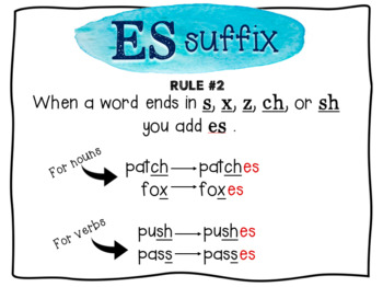 Suffix Package: s, es, ies Suffixes by Shira | Teachers Pay Teachers