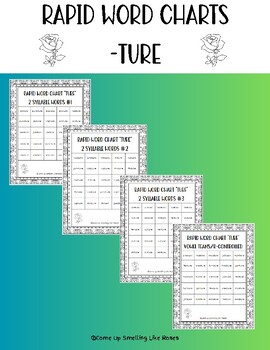 Preview of Suffix "TURE" Rapid Word Charts