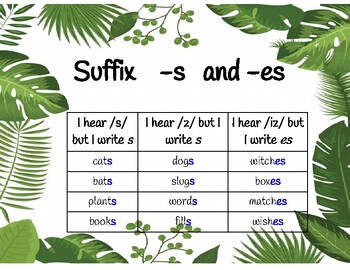 Preview of Suffix -s and -es