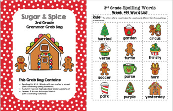 Sugar & Spice 3rd Grade Grammar Grab Bag #14 by Little Learning Lane
