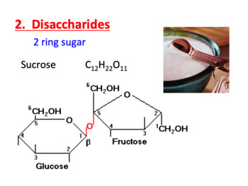 Preview of Sugars & Fats - larger organic molecules