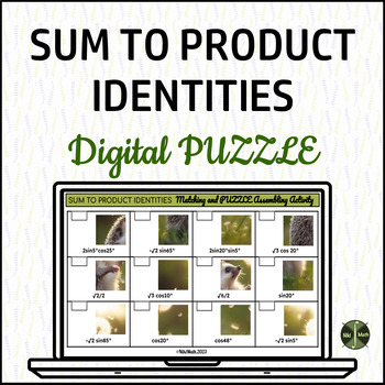 Preview of Sum to Product Identities - Digital Puzzle